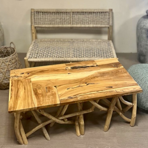 Table basse branche de Teck -...