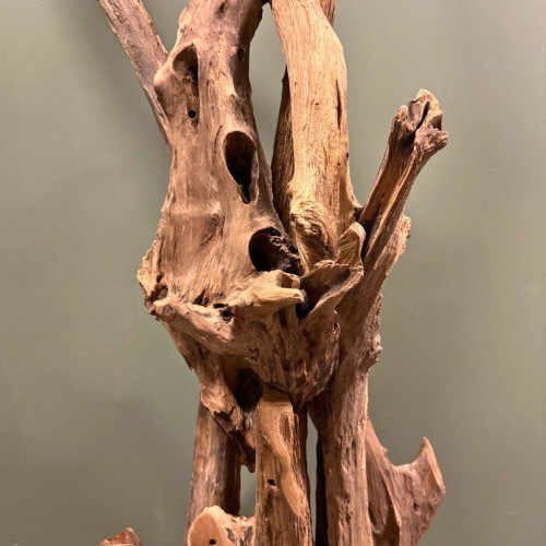 Décoration Teck
