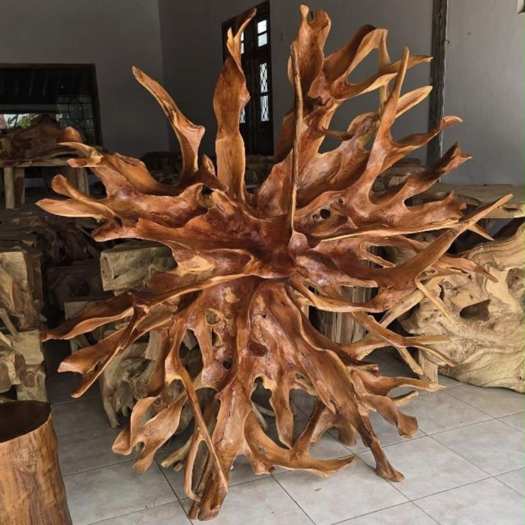 Sculpture Racine de Teck -...