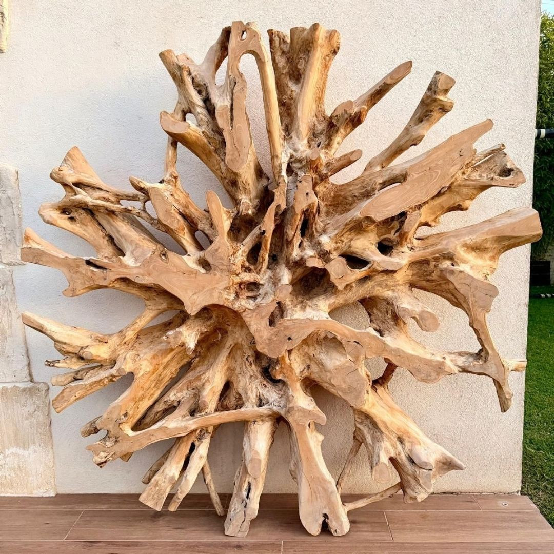 Sculpture Racine de Teck -... 2