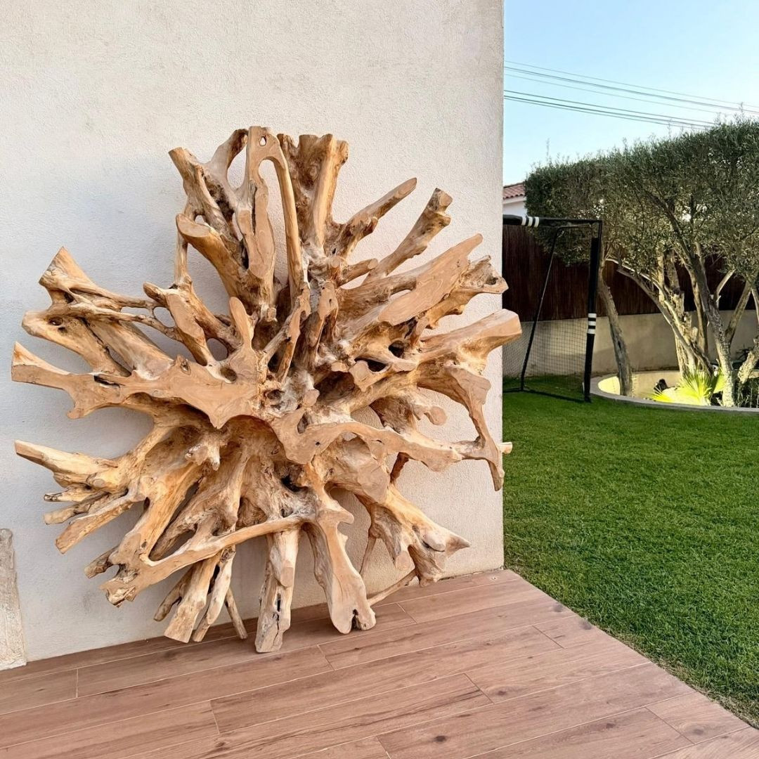 Sculpture Racine de Teck -... 2