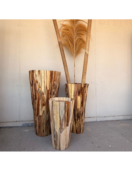 Jarre Teck - PLANTER